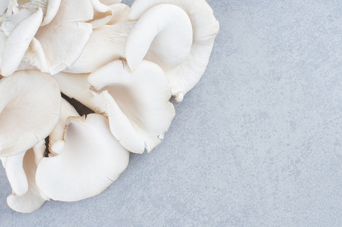 The Power of Mushrooms: Boost Your Immunity and Energy Naturally